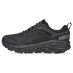HOKA ONE ONE Anacapa GTX Challenger Low
