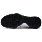 Nike Witness 5 LeBron EP