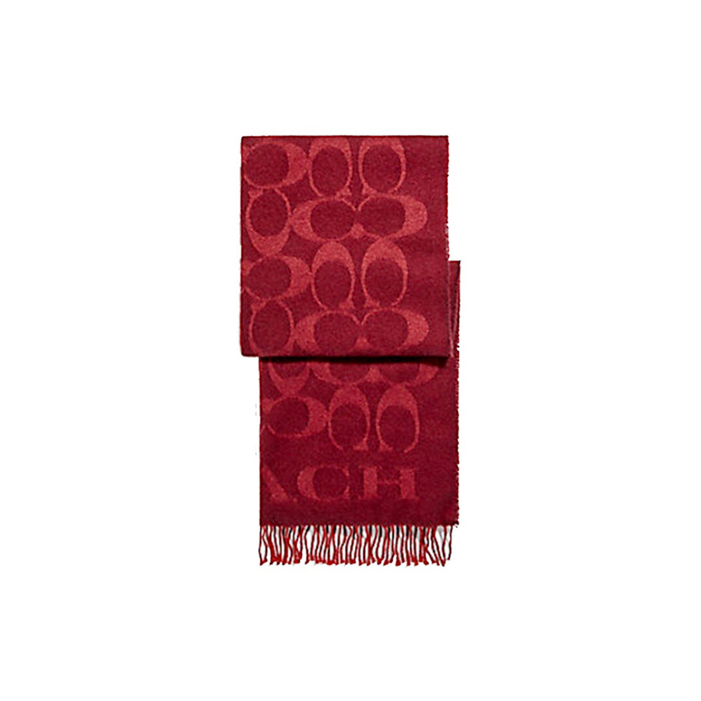 COACH Signature C
