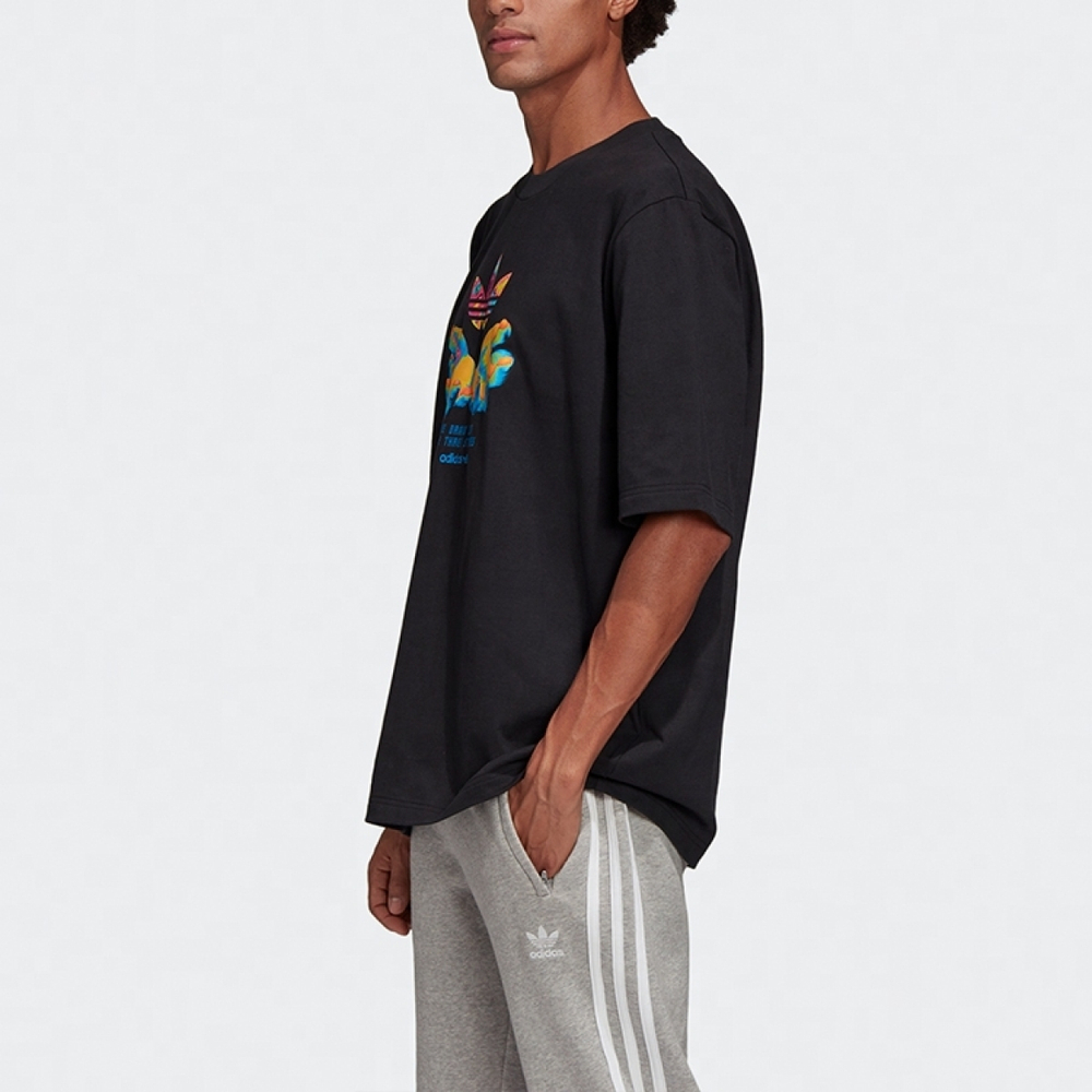 Adidas originals Graphic Tee T