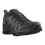 SALOMON X Braze GTX /