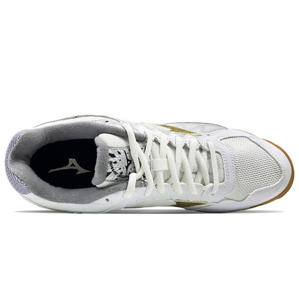 Mizuno