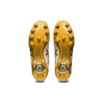 Asics DS LIGHT AG（ ）