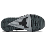 Under Armour Project Rock 3