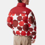 THE NORTH FACE Retro Nuptse 700