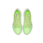 Nike Pegasus turbo 2