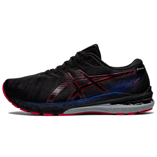 Asics GT-2000 10 GTX