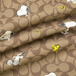 COACH x PEANUTS