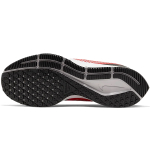 Nike Pegasus 36 Sheld Air Zoom