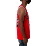 Mitchell & Ness NBA AU 1997-98 · 23