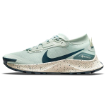 Nike Pegasus Trail 3 GTX