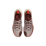 Nike Pegasus Trail 4 Gore-Tex