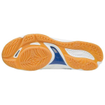 Mizuno Wave Rider 25