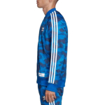 Adidas originals x Bape Adicolor