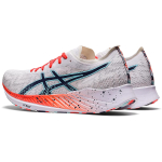 Asics Magic Speed 1.0