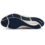 Nike Pegasus 38