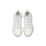 Anta