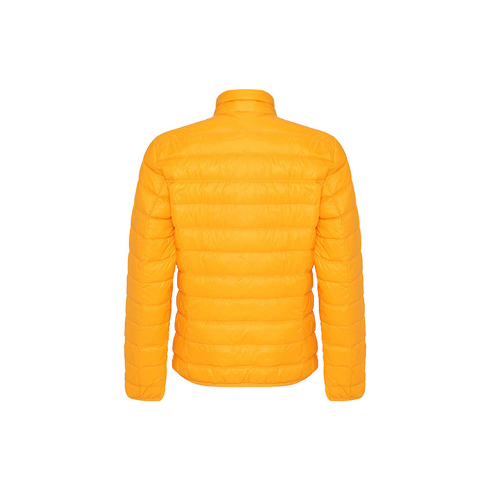 EMPORIO ARMANI EA7 FW22