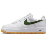 Nike Air Force 1 "Color of the Month"