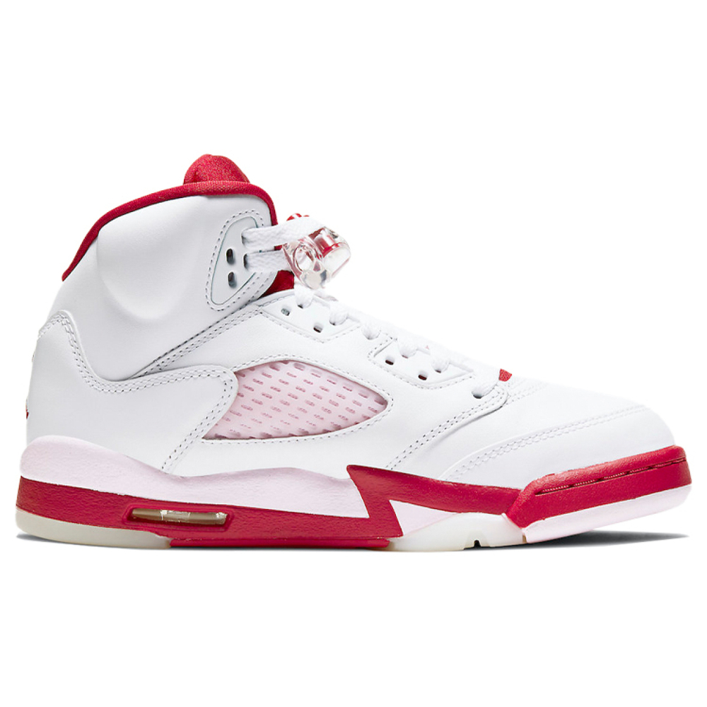 Air Jordan 5