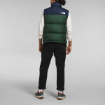 THE NORTH FACE FW22 1996 Retro Nuptse 700