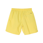 Stussy Stock Water Short Logo