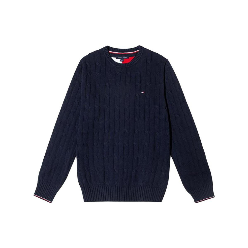 Tommy Hilfiger Logo
