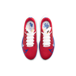 Nike Pegasus 37 Air Zoom/React