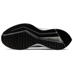 Nike Zoom Winflo 6 Shield