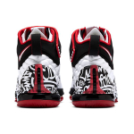 Nike Lebron 17