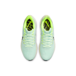 Nike Air Zoom Pegasus 39