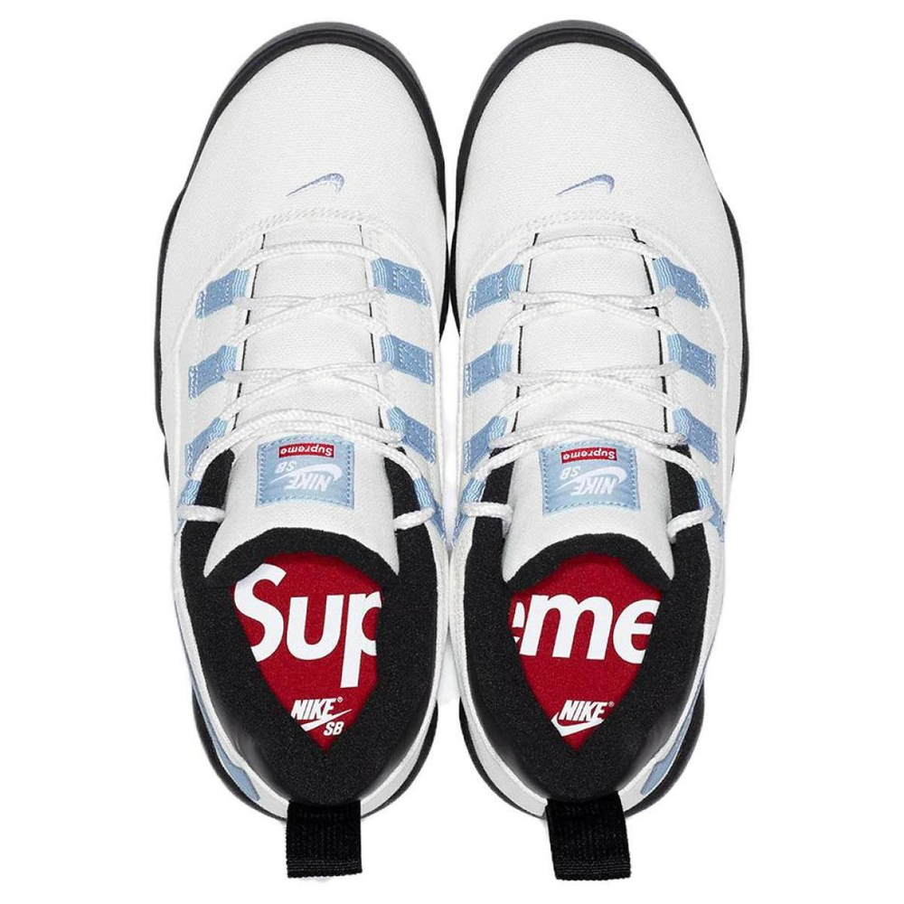 Supreme x Nike SB Darwin
