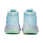 Anta KT6