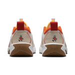 Nike Omni Multi-Court Omni Multi-Court