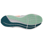 Nike Pegasus FlyEase Air Zoom
