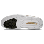 Jordan Legacy 312