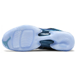 Jordan Air Jordan 29