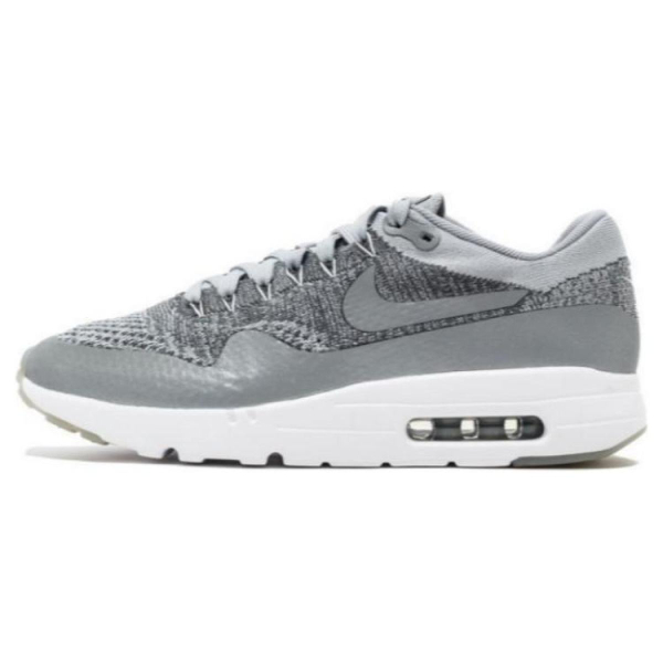 Nike Air Max 1 Ultra Flyknit Wolf Grey TPU