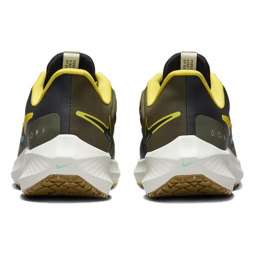 Nike Pegasus Turbo Shield