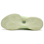 LiNing EVOLUTION LOW