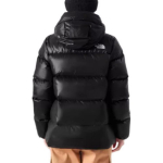 THE NORTH FACE Logo 700