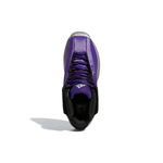 Adidas Crazy 1 "Regal Purple"