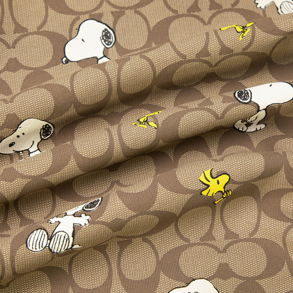 COACH x PEANUTS