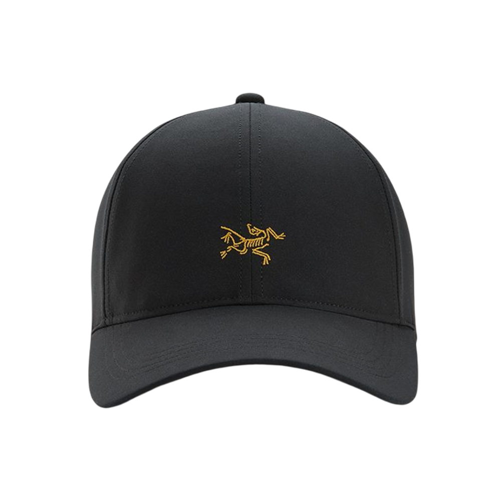Arcteryx Logo / /