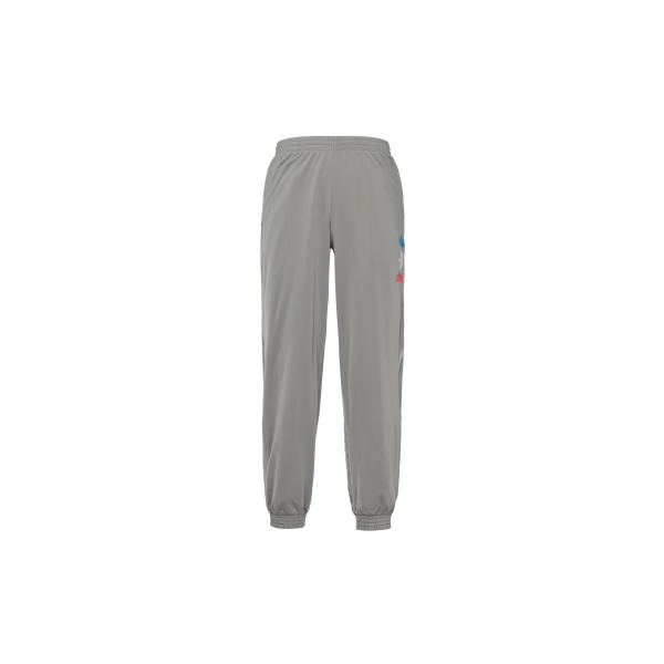 Adidas originals Metallic Track Pants