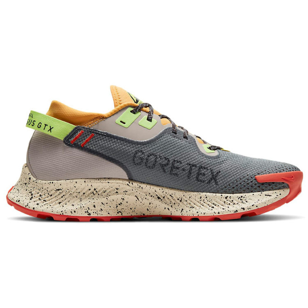 Nike Pegasus Trail 2 GORE-TEX