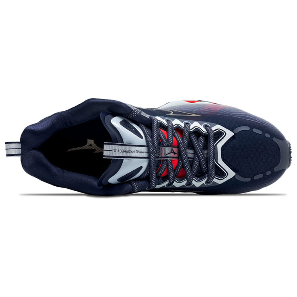 Mizuno Pro
