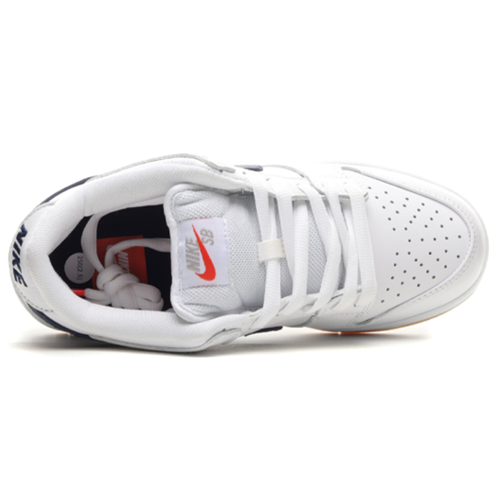 Nike Dunk SB Pro