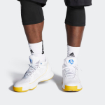Adidas D Rose 10