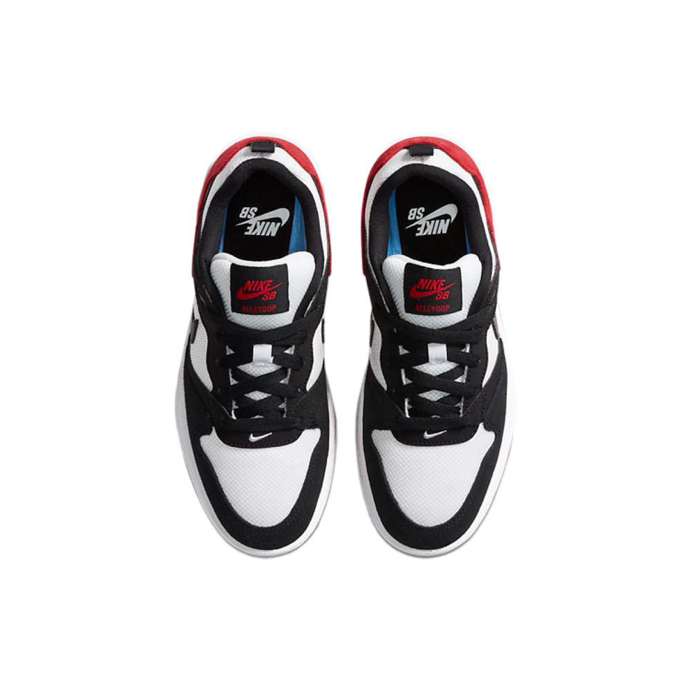 Nike SB Alleyoop